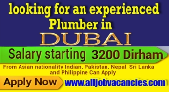 looking for an experienced Plumber in Dubai