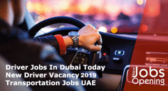 Light Vehicle Driver Job Vacancy in UAE
