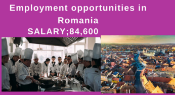 Employment opportunities in Romania Salary;84,600