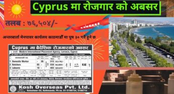 Jobs in Cyprus for Nepali 2023 | Domestic Worker Butcher and Labours Demand in Larnaca